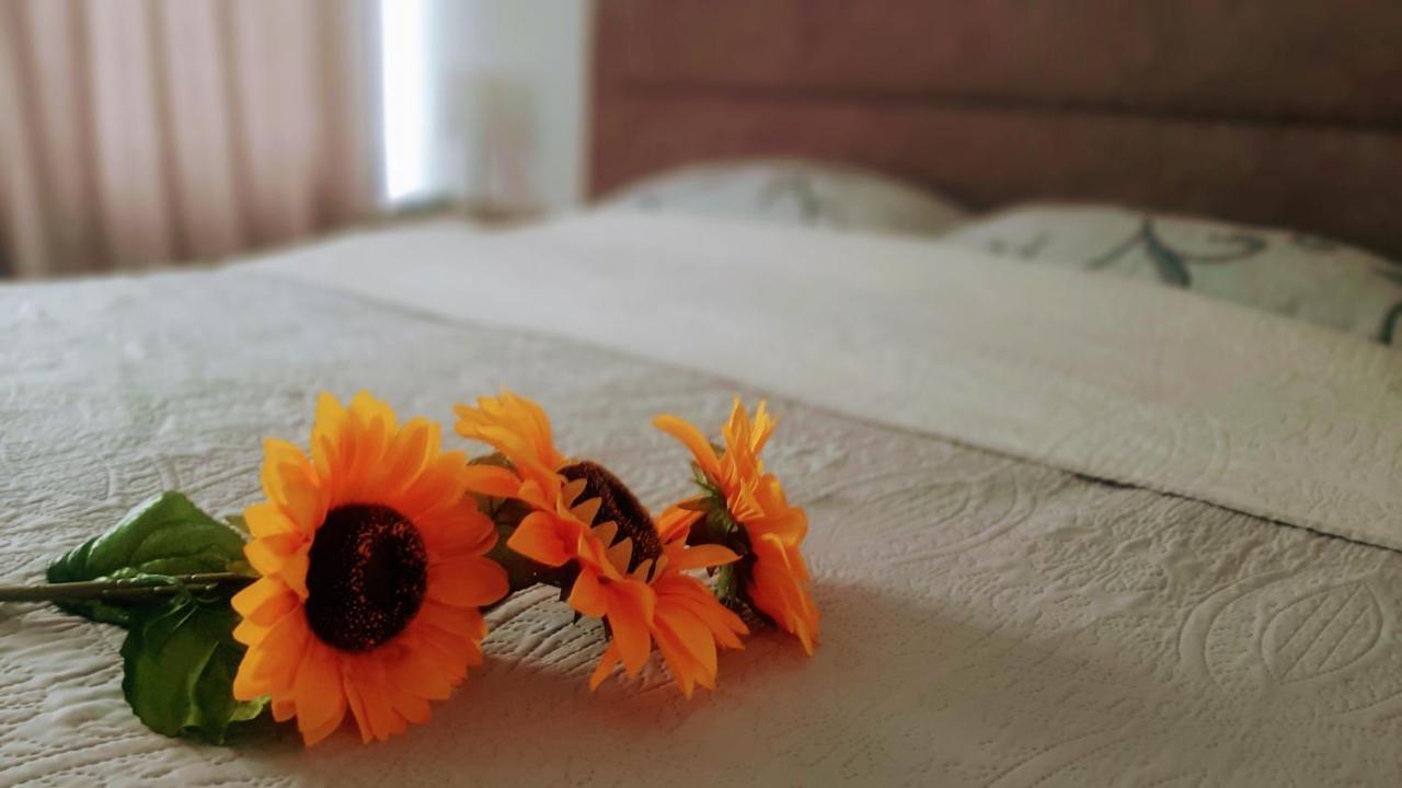 Sunshine Apartment クラグイェヴァツ エクステリア 写真